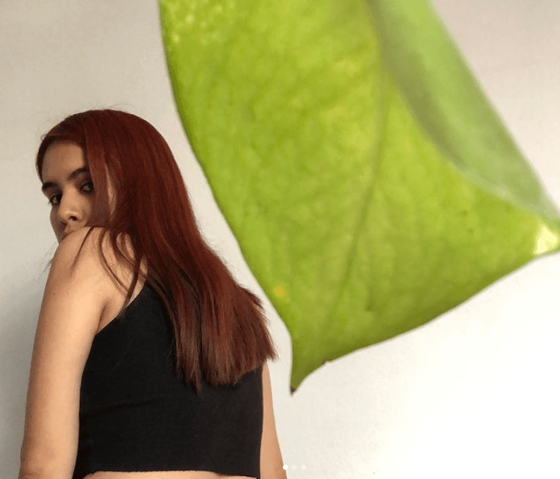 Yary Ibarra