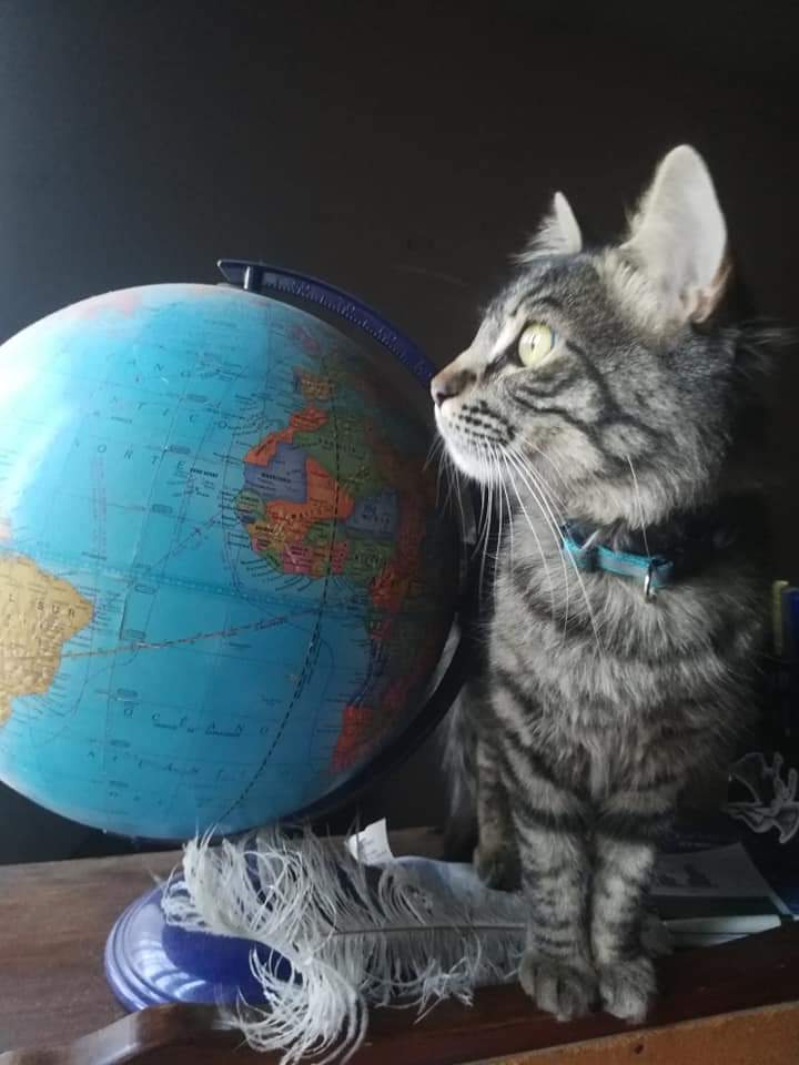 El derecho a no hacer nada